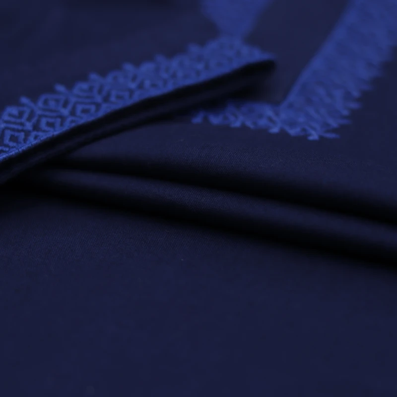 Navy Blue Panjabi with Royal Blue Embroidered Highlights – J414